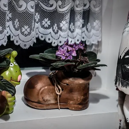 Nicola's Apartament Bucureşti